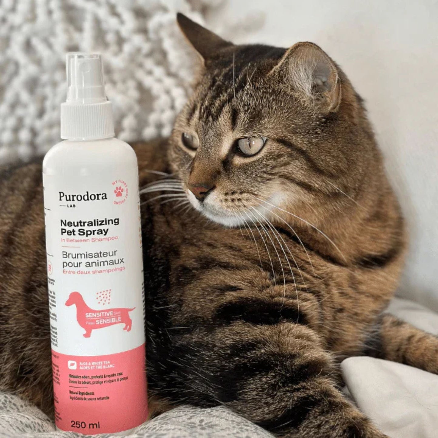 Brumisateur peaux sensible animaux entre deux shampoings 237ml purodora