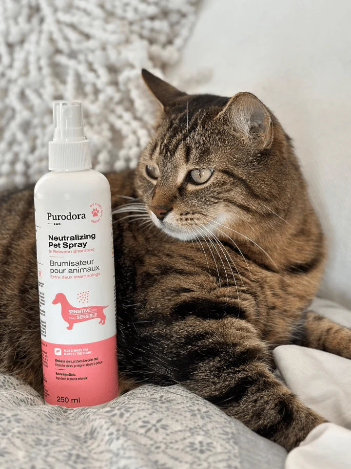 Brumisateur peaux sensible animaux entre deux shampoings 237ml purodora