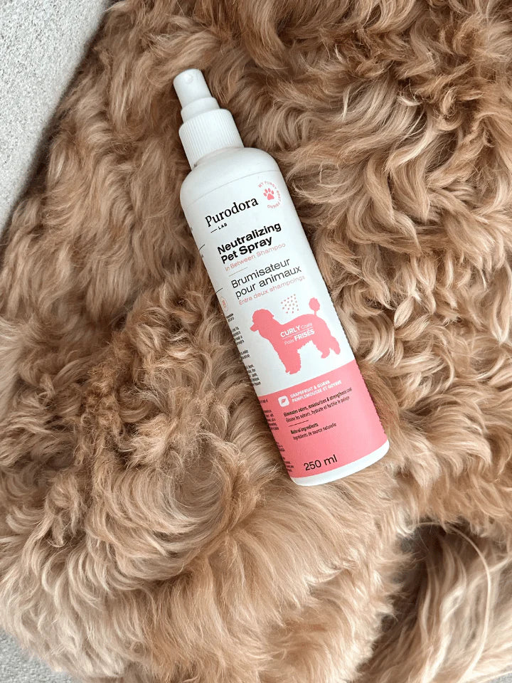 Brumisateur animaux entre deux shampoings poils frisés 237ml purodora