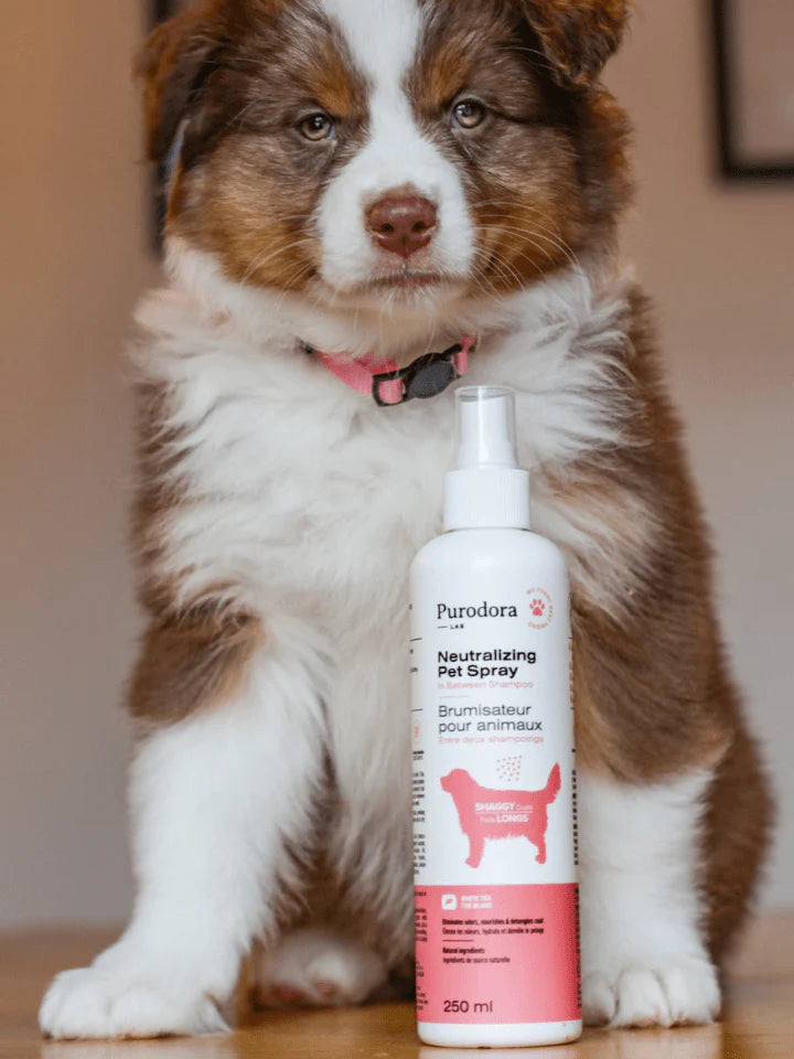 Brumisateur entre deux shampoing animaux poils longs courts 237ml purodora