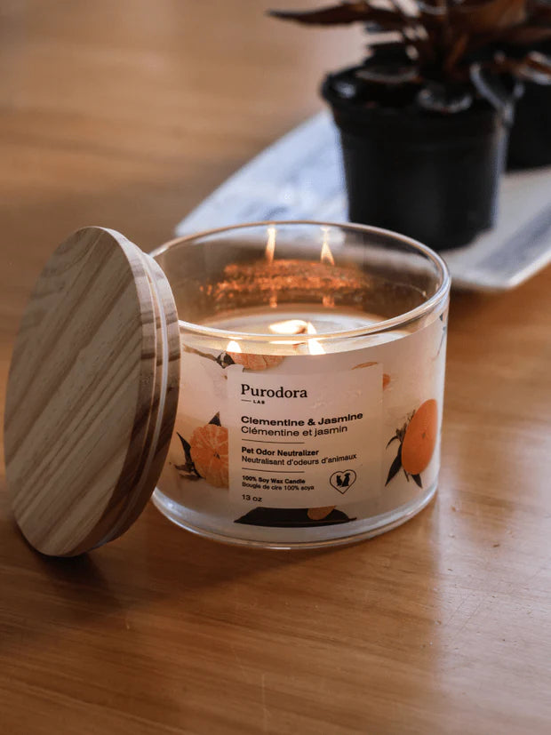 Chandelle soya cire 100% soya neutralisant odeurs animaux clémentine jasmin