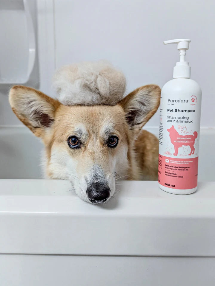 Purodora shampoing animaux activateur mue 500ml compagnie québécoise