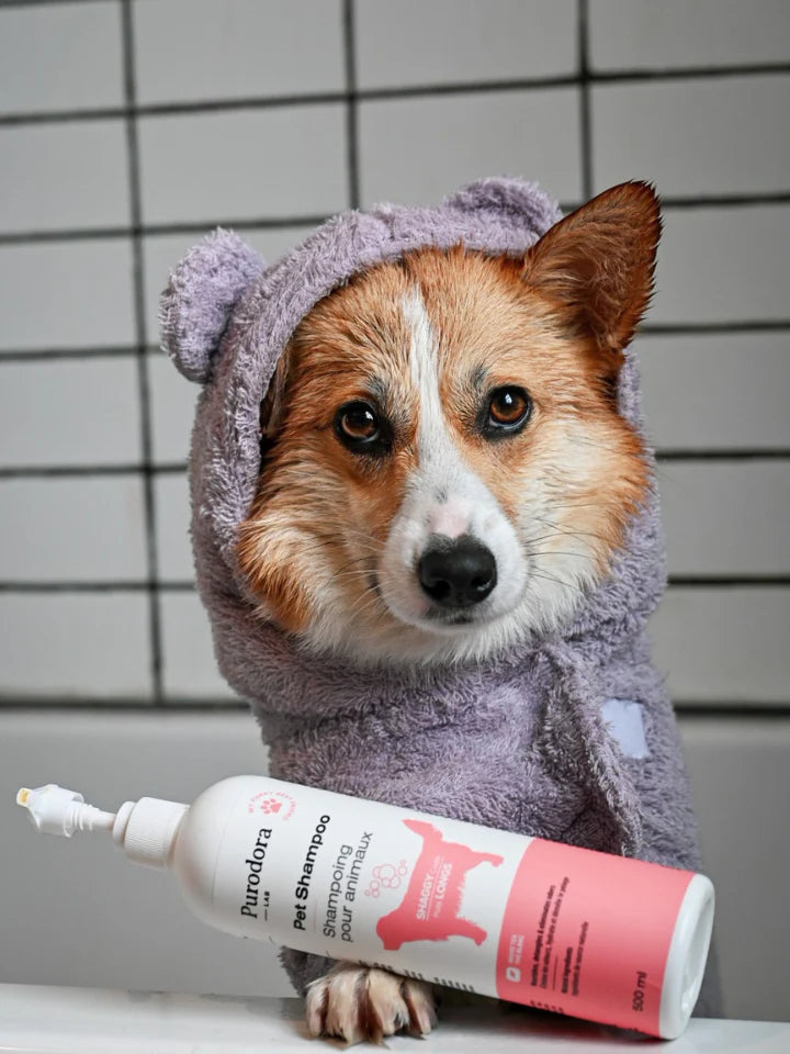 Shampoing animaux poils longs courts 500ml thé blanc compagnie québécoise