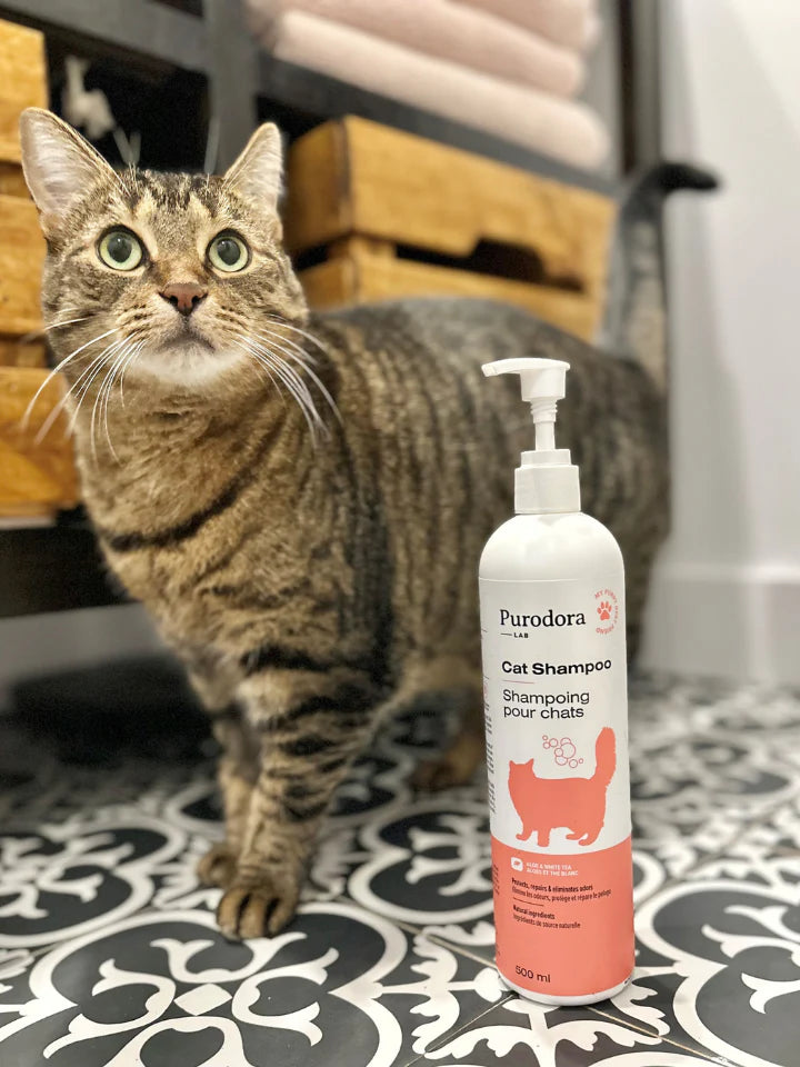 Shampoing chat 500ml aloès thé blanc compagnie québécoise purodora